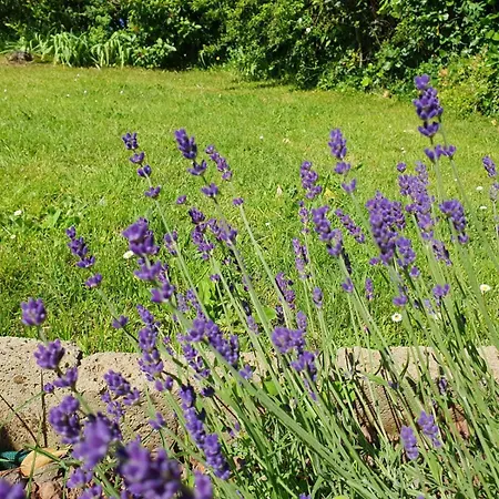 A Casa Nostra * Montopoli in Val d'Arno